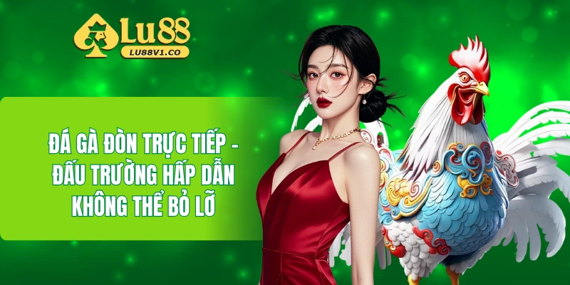 đá gà đòn trực tiếp