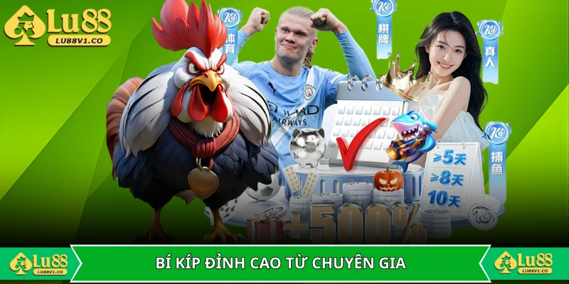 Những bí kíp đỉnh cao từ chuyên gia