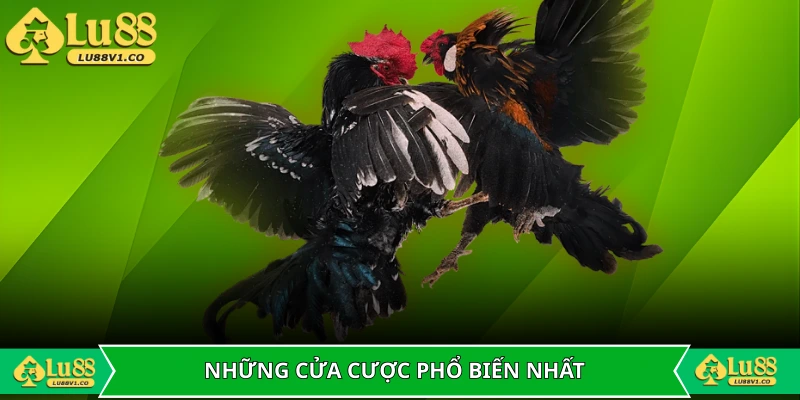 Những cửa cược phổ biến nhất