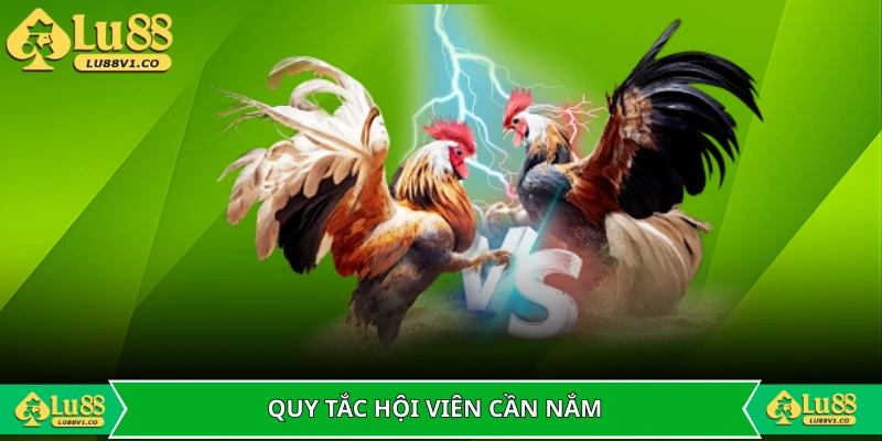 Quy tắc hội viên cần nắm