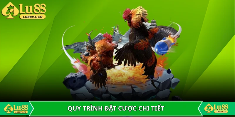 Quy trình đặt cược chi tiết
