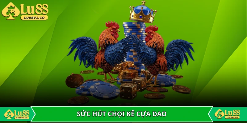 Sức hút khó cưỡng của chọi kê cựa dao