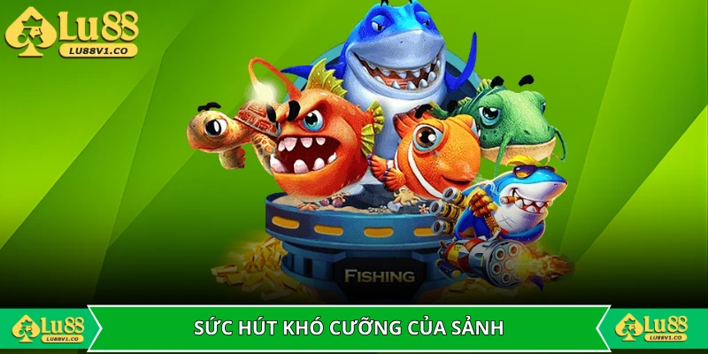 Sức hút khó cưỡng của sảnh