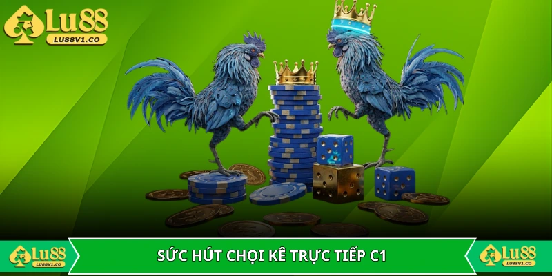 Sức hút mãnh liệt từ chọi kê trực tiếp C1