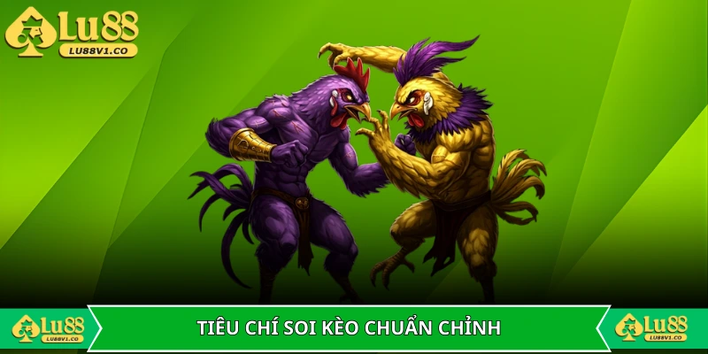 Tiêu chí soi kèo chuẩn chỉnh