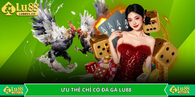 Ưu thế chỉ có tại đá gà LU88